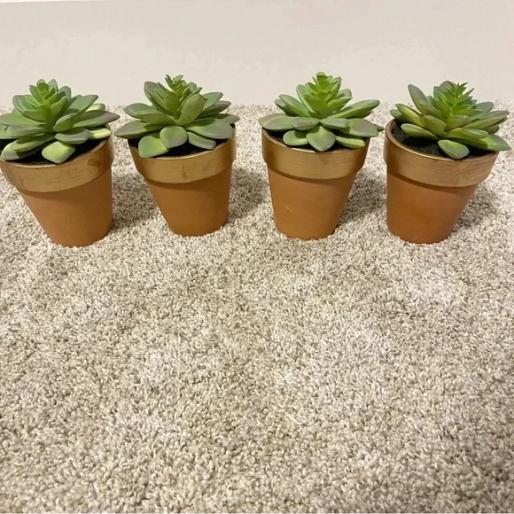 Set of 3 terracotta faux succulents new - Picture 10 of 12